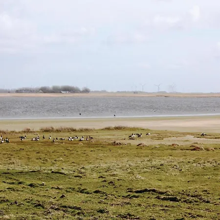 3 Bedroom Cozy In * Dagebüll