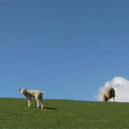 3 Bedroom Cozy In בית נופש